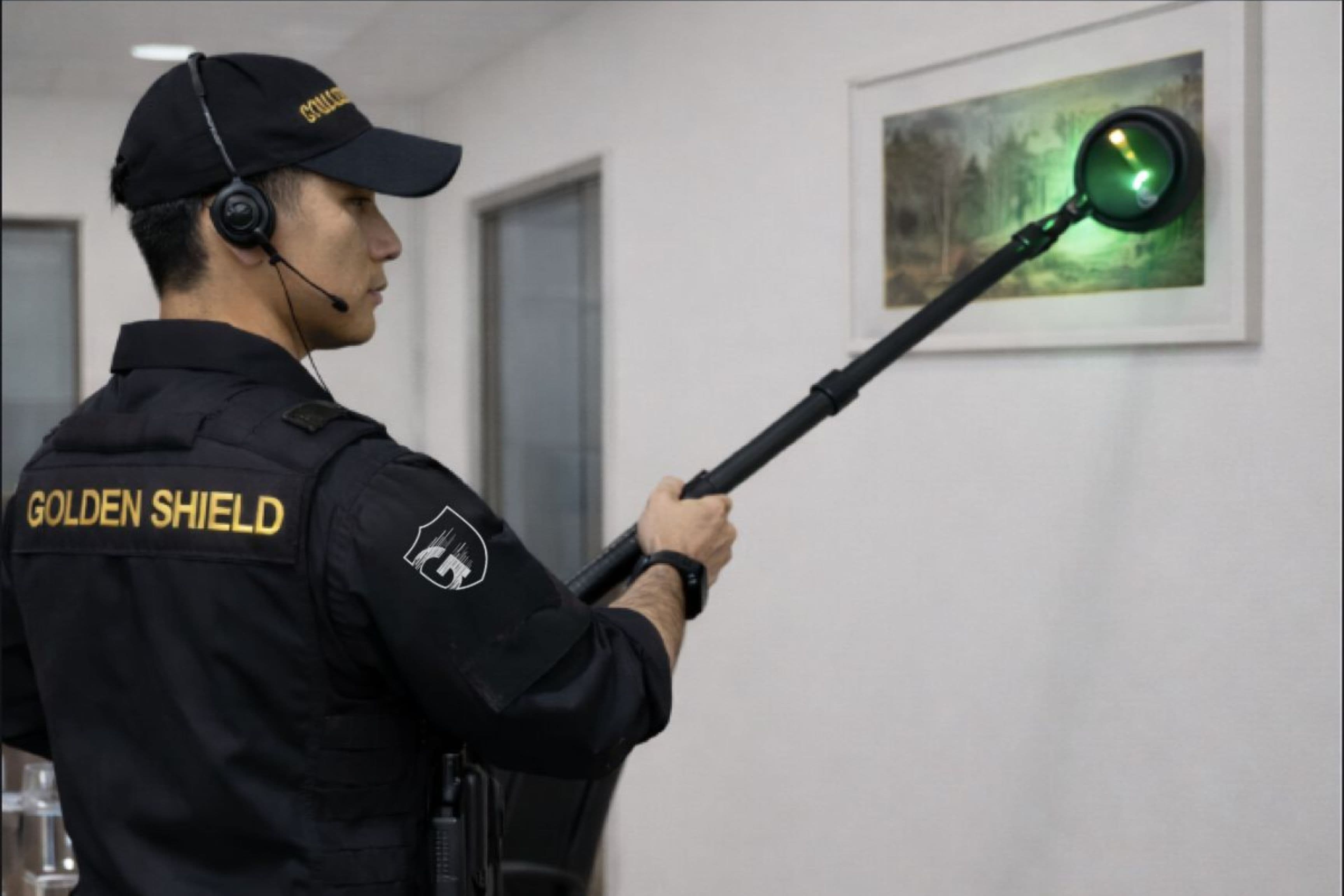 Bug Sweeping