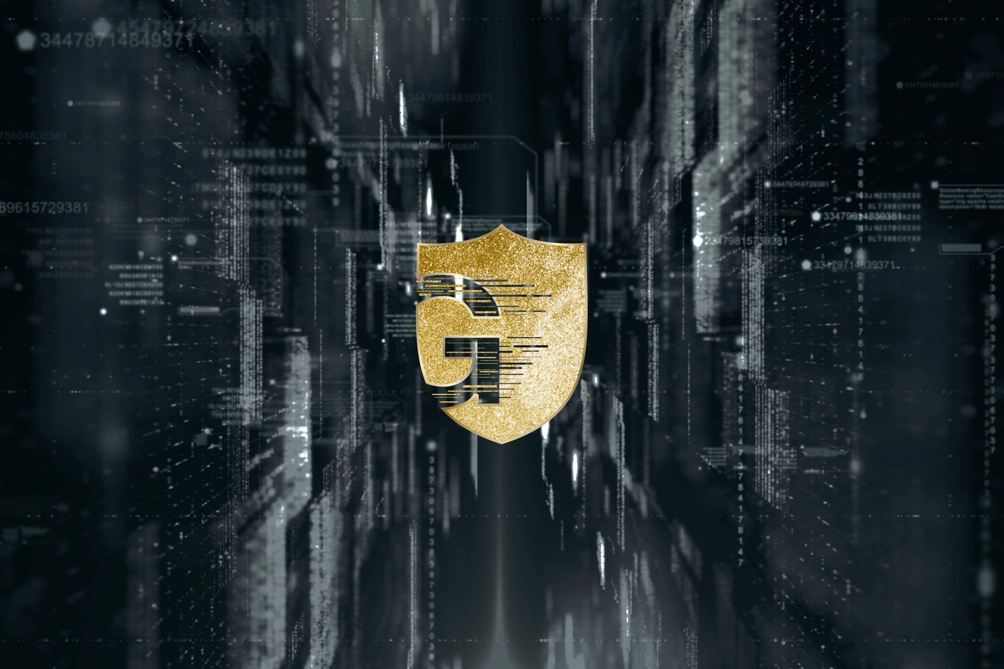 About Team
